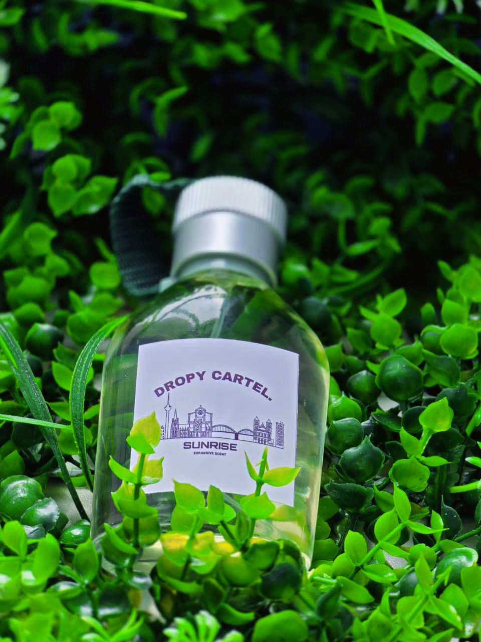 SUN RISE OUD MOOD COLOGNE