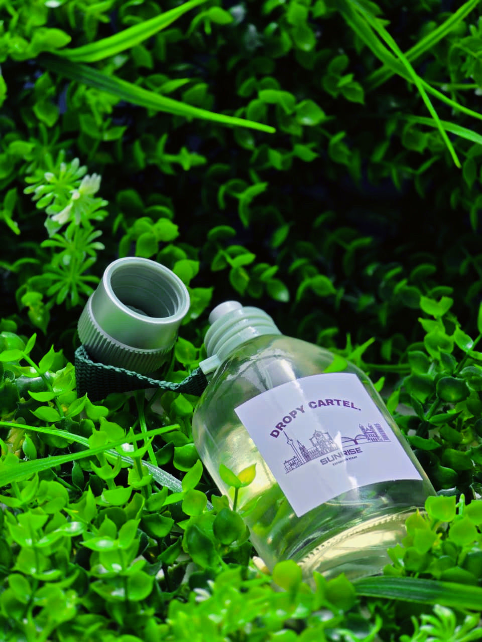 SUN RISE OUD MOOD COLOGNE