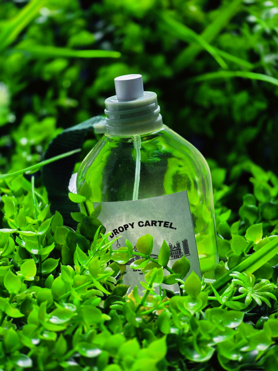 SUN RISE OUD MOOD COLOGNE