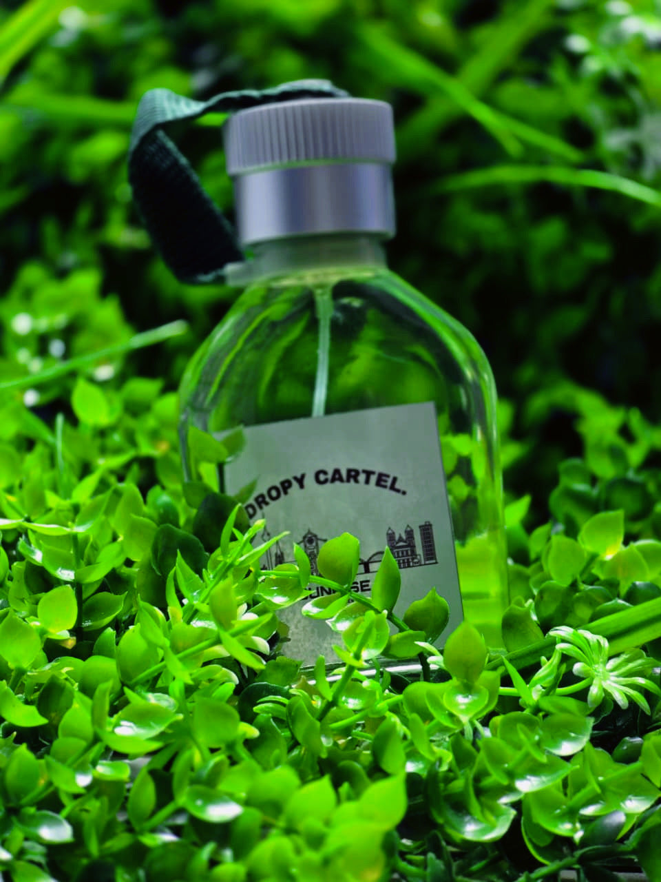 SUN RISE OUD MOOD COLOGNE