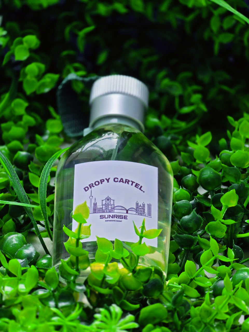 SUN RISE OUD MOOD COLOGNE